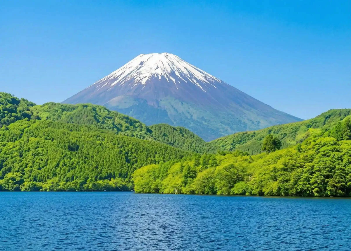 Hakone & Mt Fuji Day Tour: Owakudani & Chureito Pagoda from Tokyo