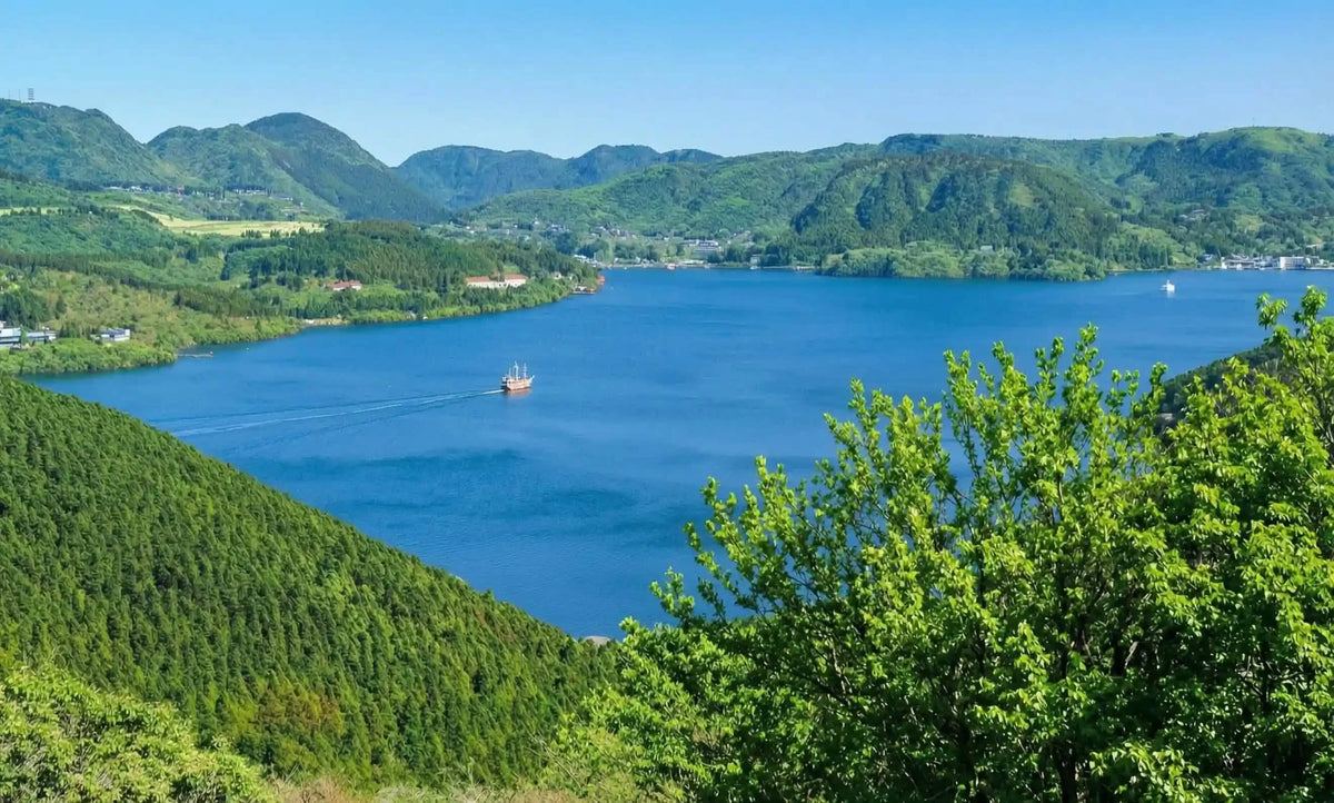 Hakone & Mt Fuji Day Tour: Lake Ashi, Owakudani & Chureito Pagoda from Tokyo