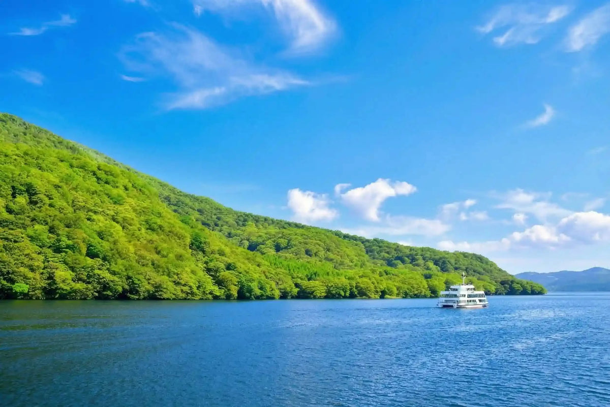 Hakone & Mt Fuji Day Tour: Lake Ashi, Owakudani & Chureito Pagoda from Tokyo