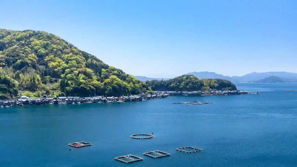 Private Amanohashidate, Ine Funaya & Miyama Tour from Kyoto/Osaka