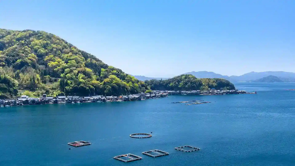 Amanohashidate, Ine Funaya & Miyama from Kyoto/Osaka