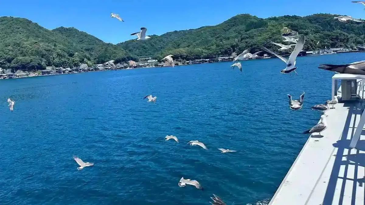 Private Amanohashidate, Ine Funaya & Miyama Tour from Kyoto/Osaka
