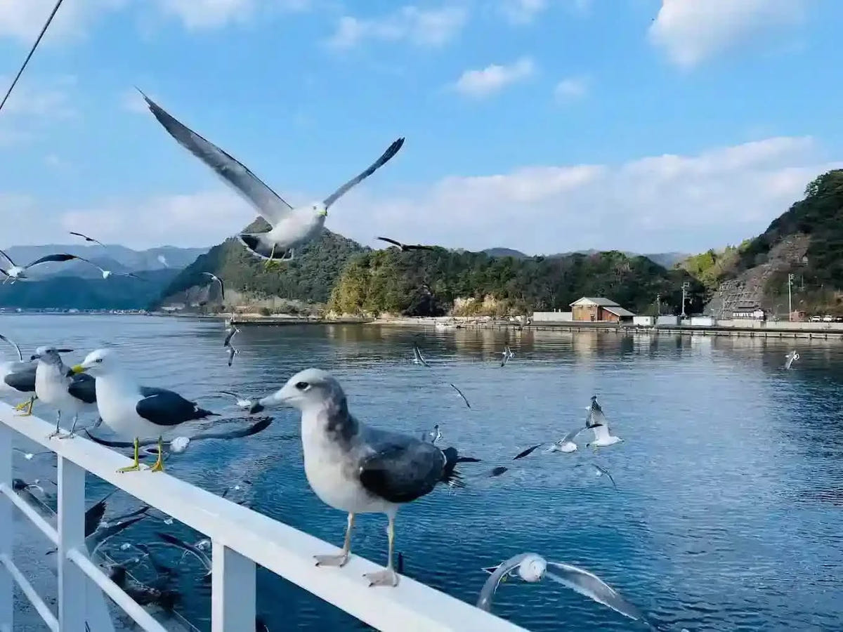 Private Amanohashidate, Ine Funaya & Miyama Tour from Kyoto/Osaka