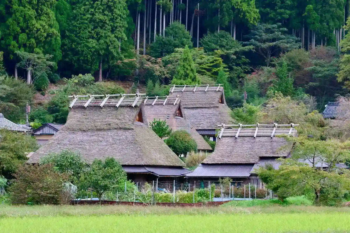 Amanohashidate, Ine Funaya & Miyama from Kyoto/Osaka