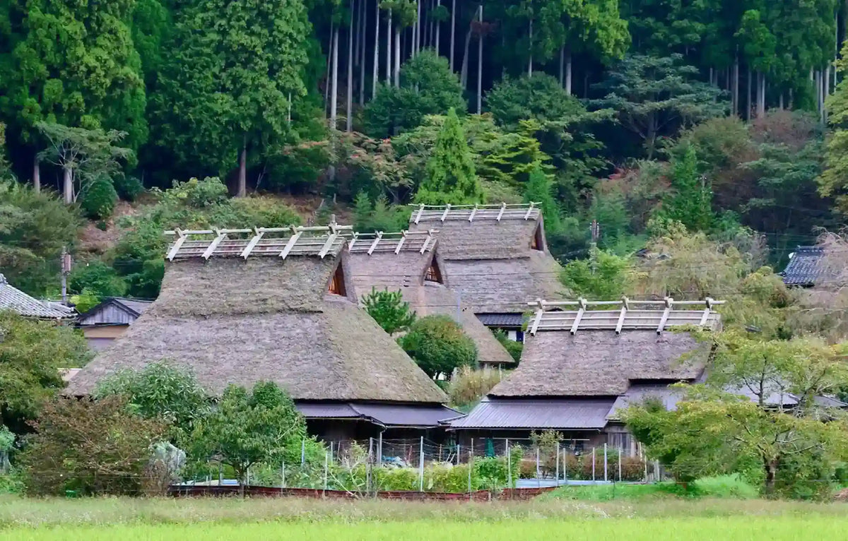 Amanohashidate, Ine Funaya & Miyama from Kyoto/Osaka