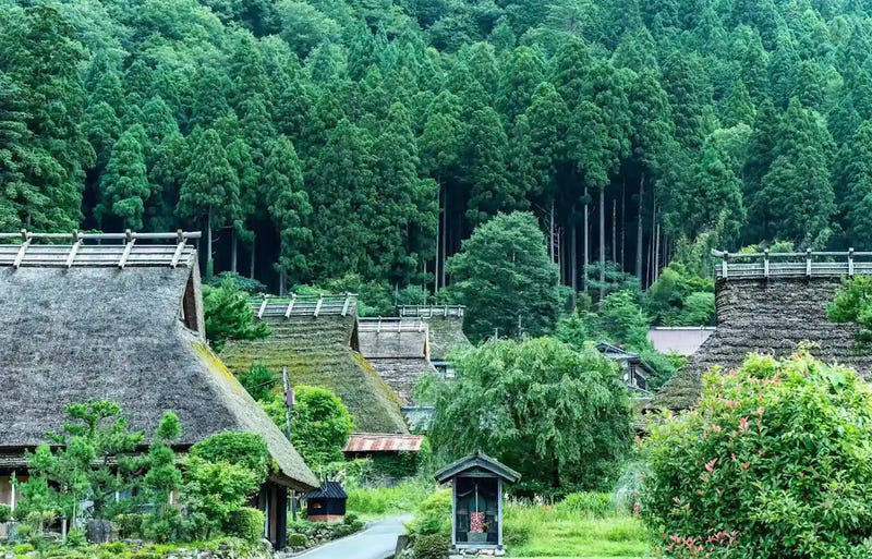  Miyama Kayabuki-no-Sato (45 minutes)