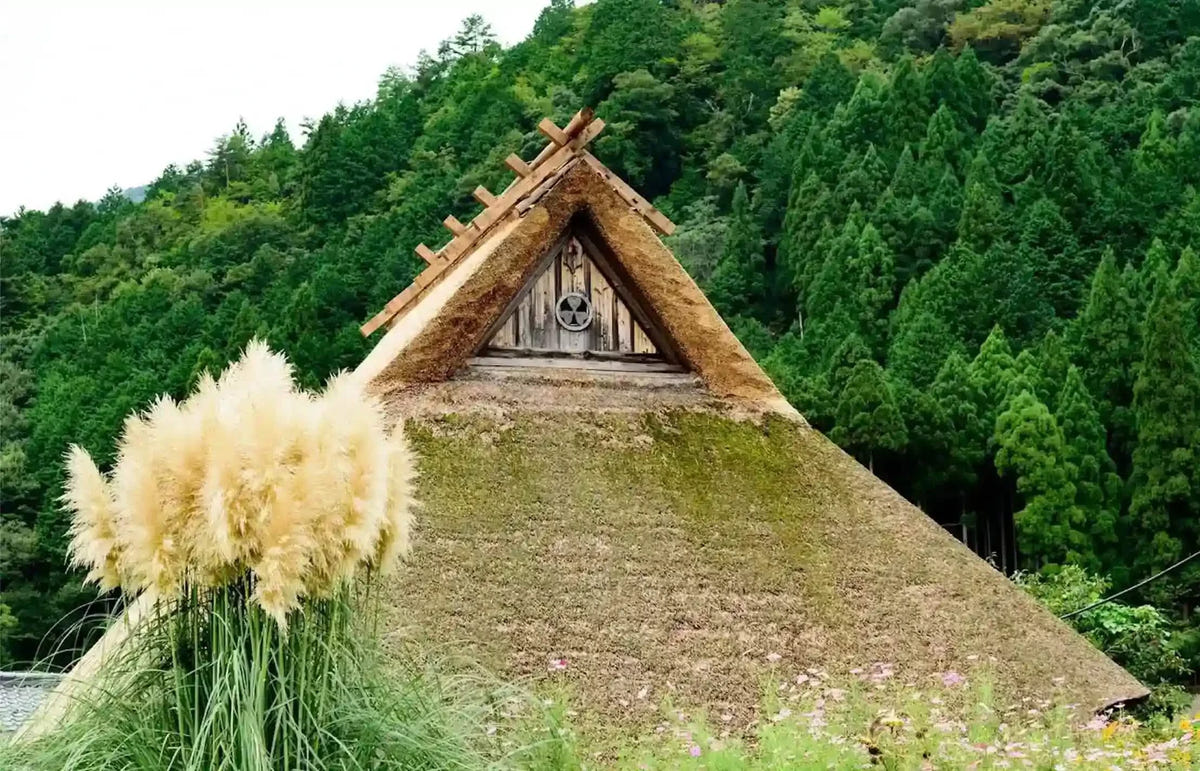 Private Amanohashidate, Ine Funaya & Miyama Tour from Kyoto/Osaka