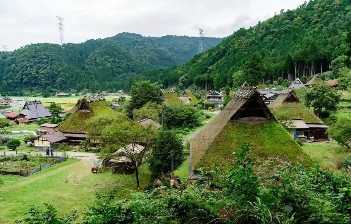 Private Amanohashidate, Ine Funaya & Miyama Tour from Kyoto/Osaka