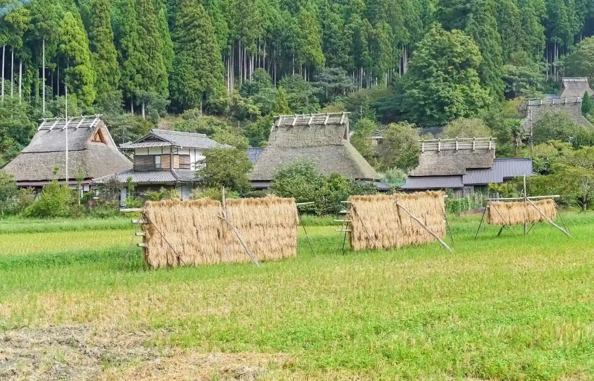 Amanohashidate, Ine Funaya & Miyama from Kyoto/Osaka