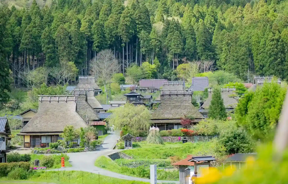 Amanohashidate, Ine Funaya & Miyama from Kyoto/Osaka