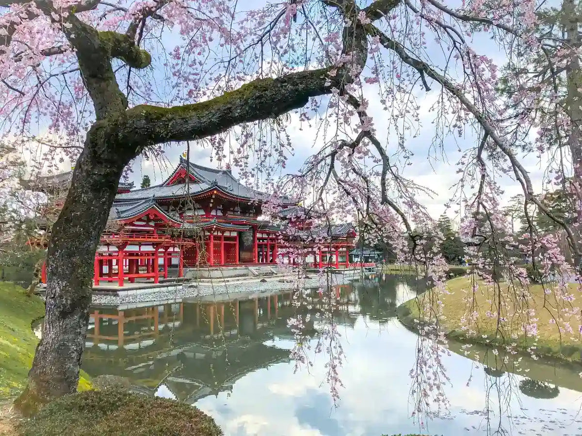 Kinkaku-ji, Kiyomizu-dera, and Byōdō-in from Kyoto/Osaka