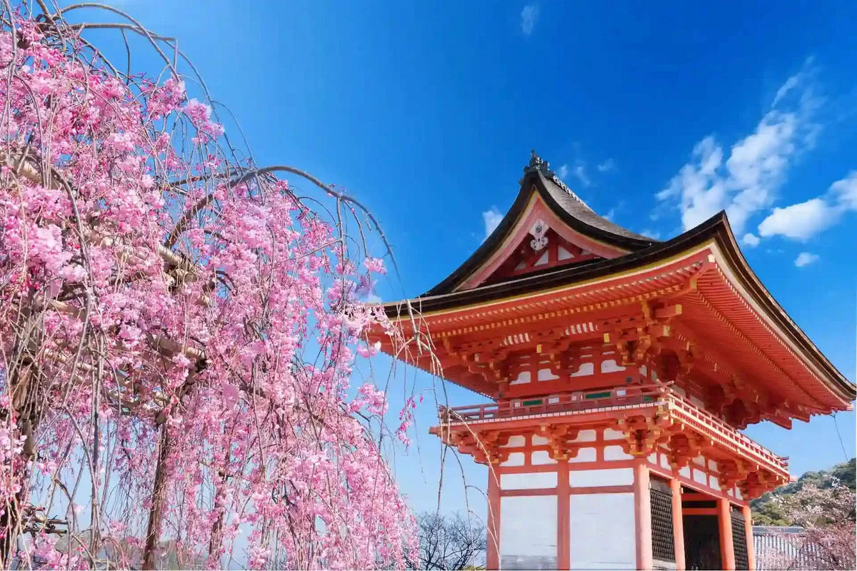 Kinkaku-ji, Kiyomizu-dera, and Byōdō-in from Kyoto/Osaka