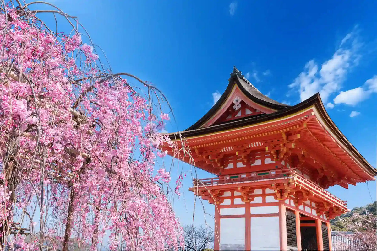Kinkaku-ji, Kiyomizu-dera, and Byōdō-in from Kyoto/Osaka