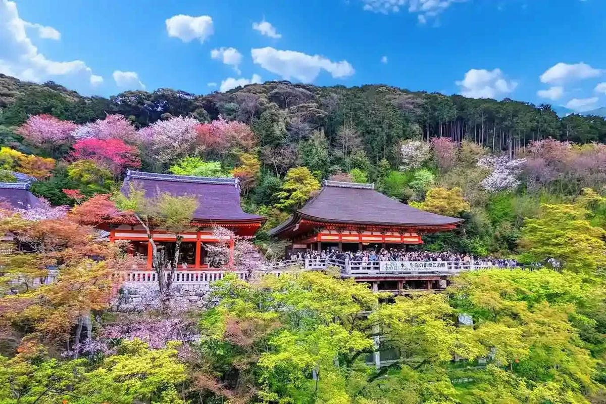 Kinkaku-ji, Kiyomizu-dera, and Byōdō-in from Kyoto/Osaka