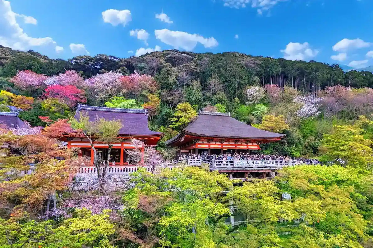 Kinkaku-ji, Kiyomizu-dera, and Byōdō-in from Kyoto/Osaka
