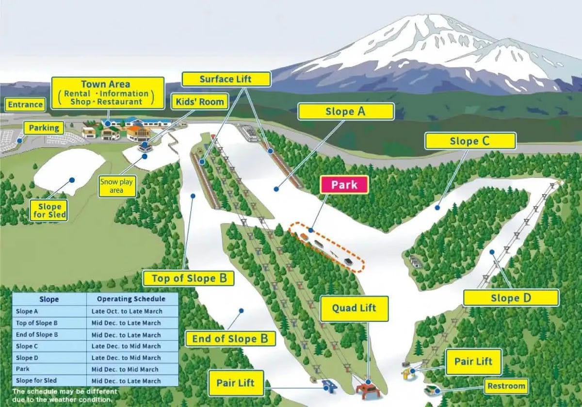 Private Mt. Fuji Snow Fun Day Tour: Snow Resort Yeti from Tokyo
