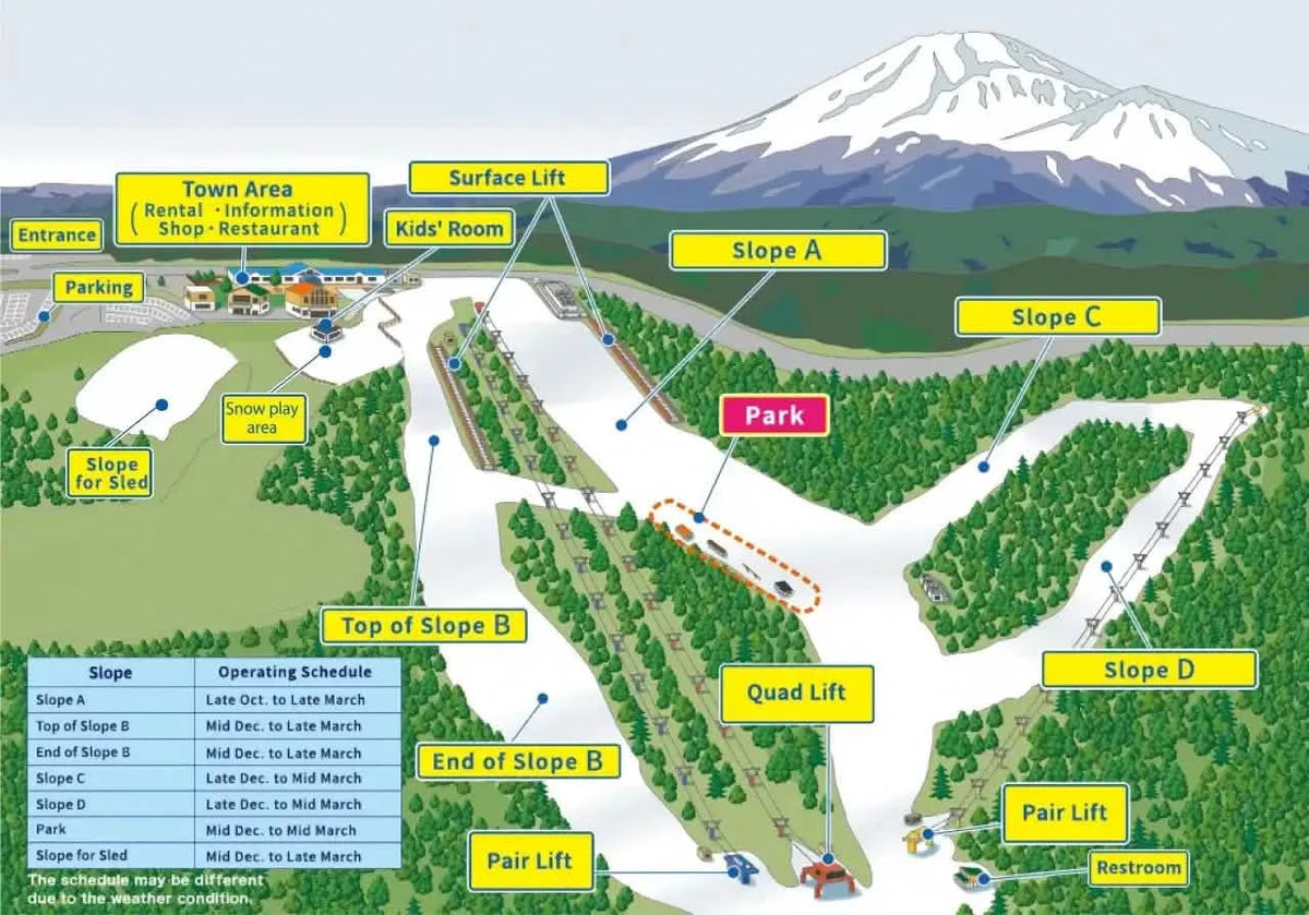 Mt. Fuji Snow Fun Day Tour: Snow Resort Yeti from Tokyo (custom product page)