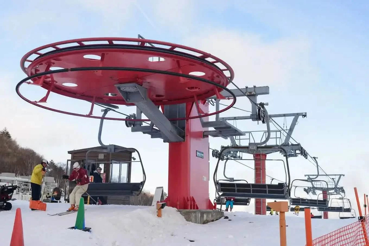 Mt. Fuji Snow Fun Day Tour: Snow Resort Yeti from Tokyo (custom product page)