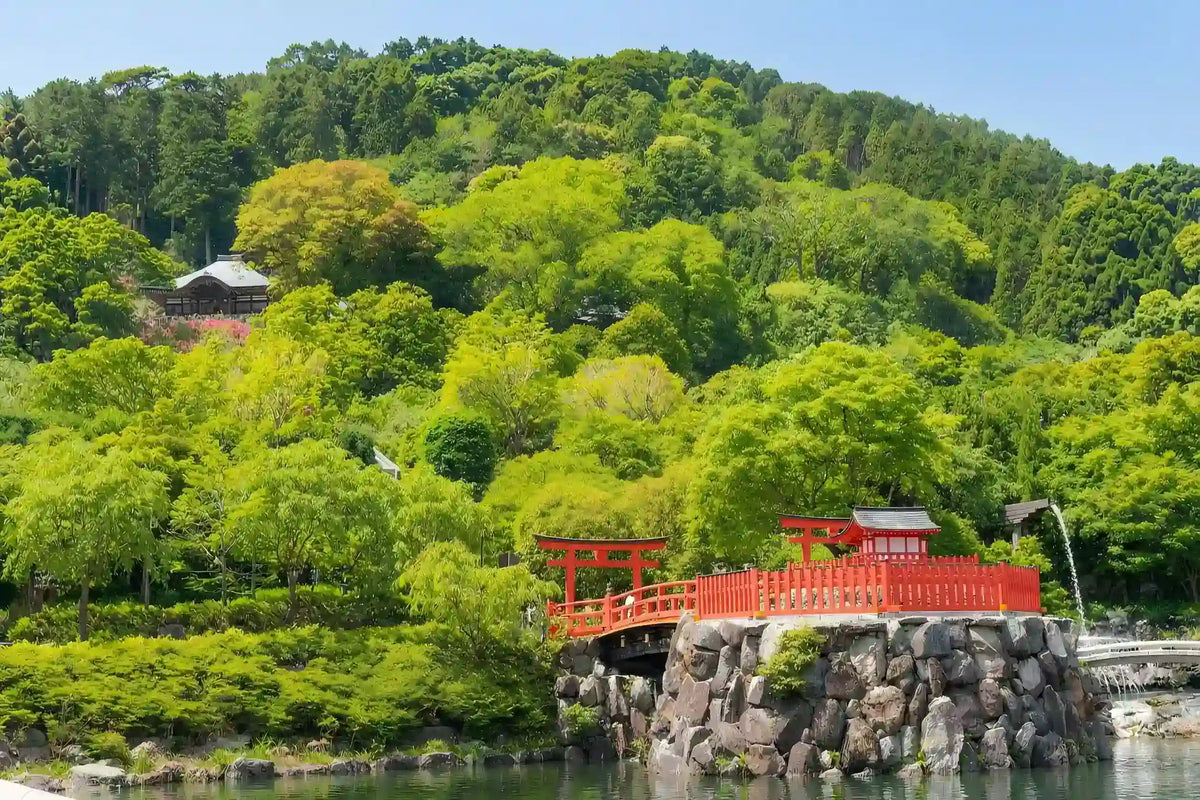 Katsuo-ji, Arashiyama & Kinkaku-ji from Kyoto/Osaka
