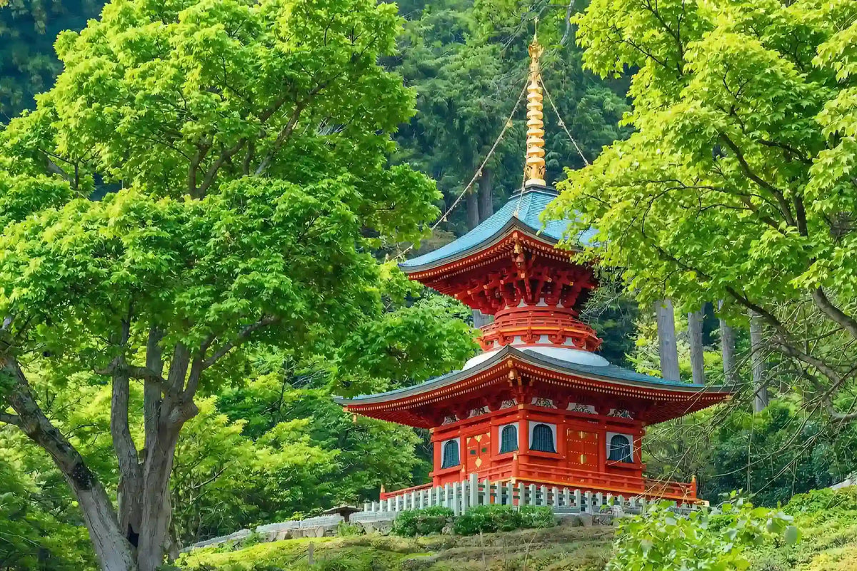 Katsuo-ji, Arashiyama & Kinkaku-ji from Kyoto/Osaka