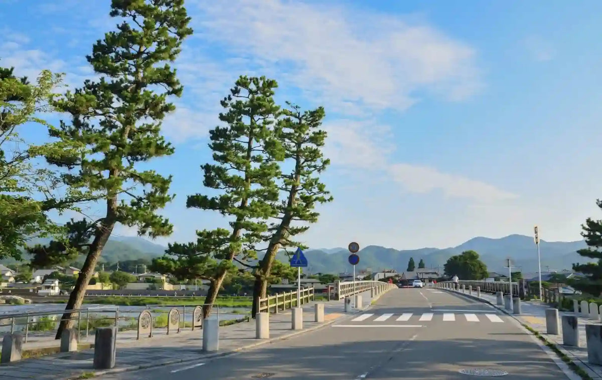 Katsuo-ji, Arashiyama & Kinkaku-ji from Kyoto/Osaka