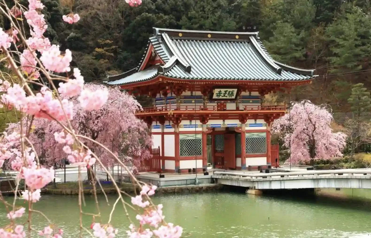 Private Katsuo-ji, Arashiyama & Kinkaku-ji from Kyoto/Osaka