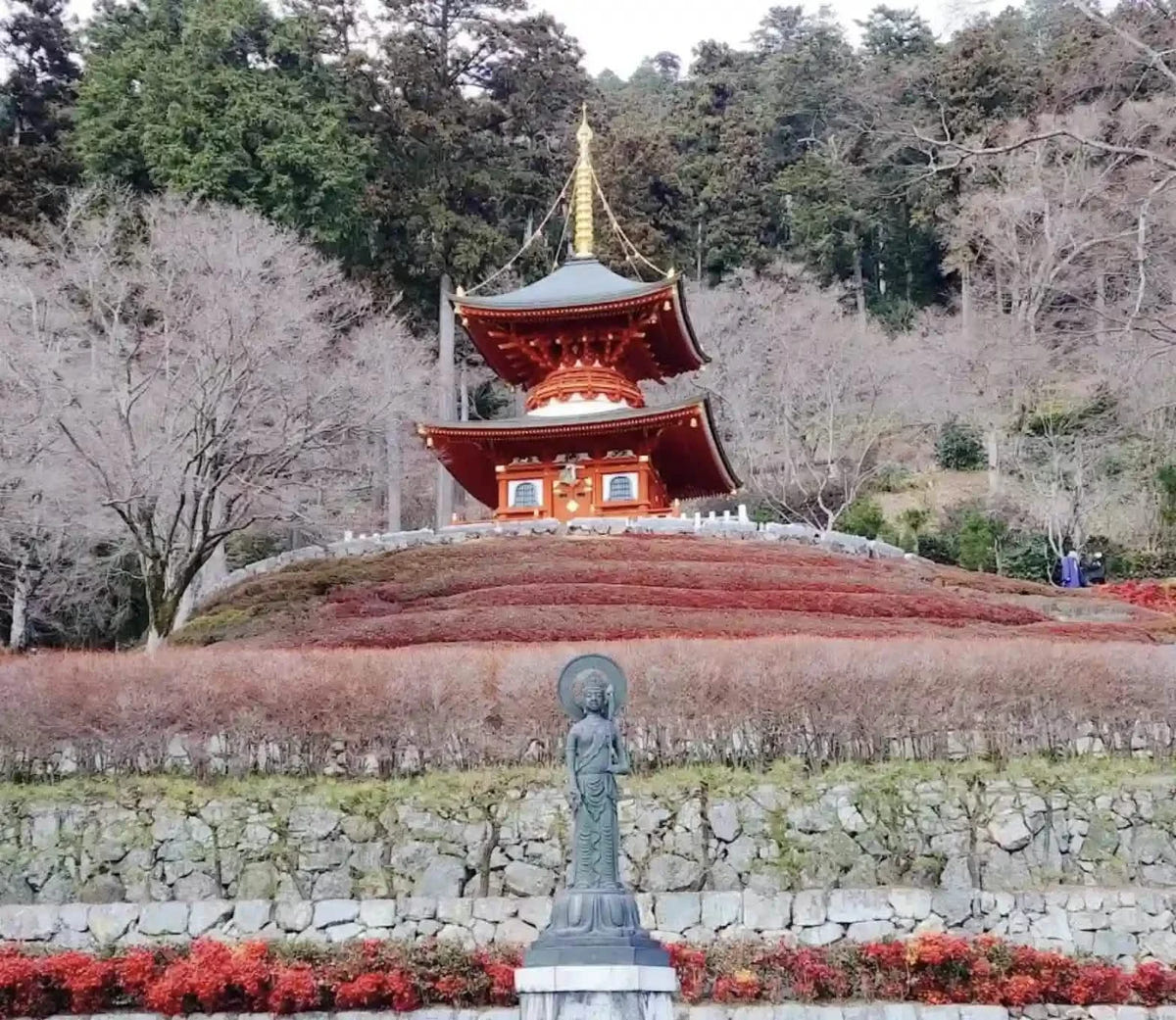Private Katsuo-ji, Arashiyama & Kinkaku-ji from Kyoto/Osaka