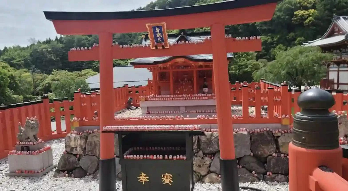 Private Katsuo-ji, Arashiyama & Kinkaku-ji from Kyoto/Osaka