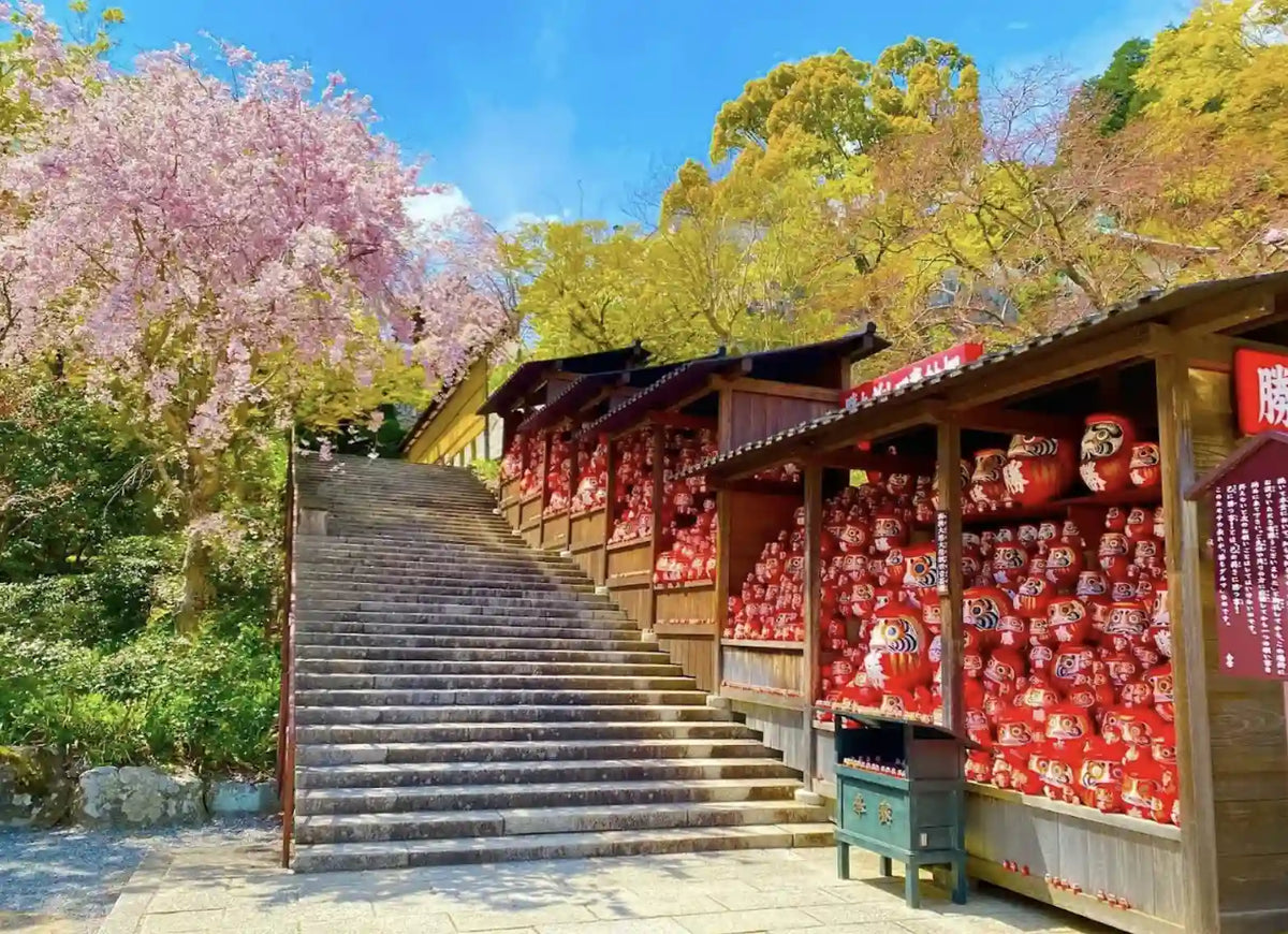 Katsuo-ji, Arashiyama & Kinkaku-ji from Kyoto/Osaka