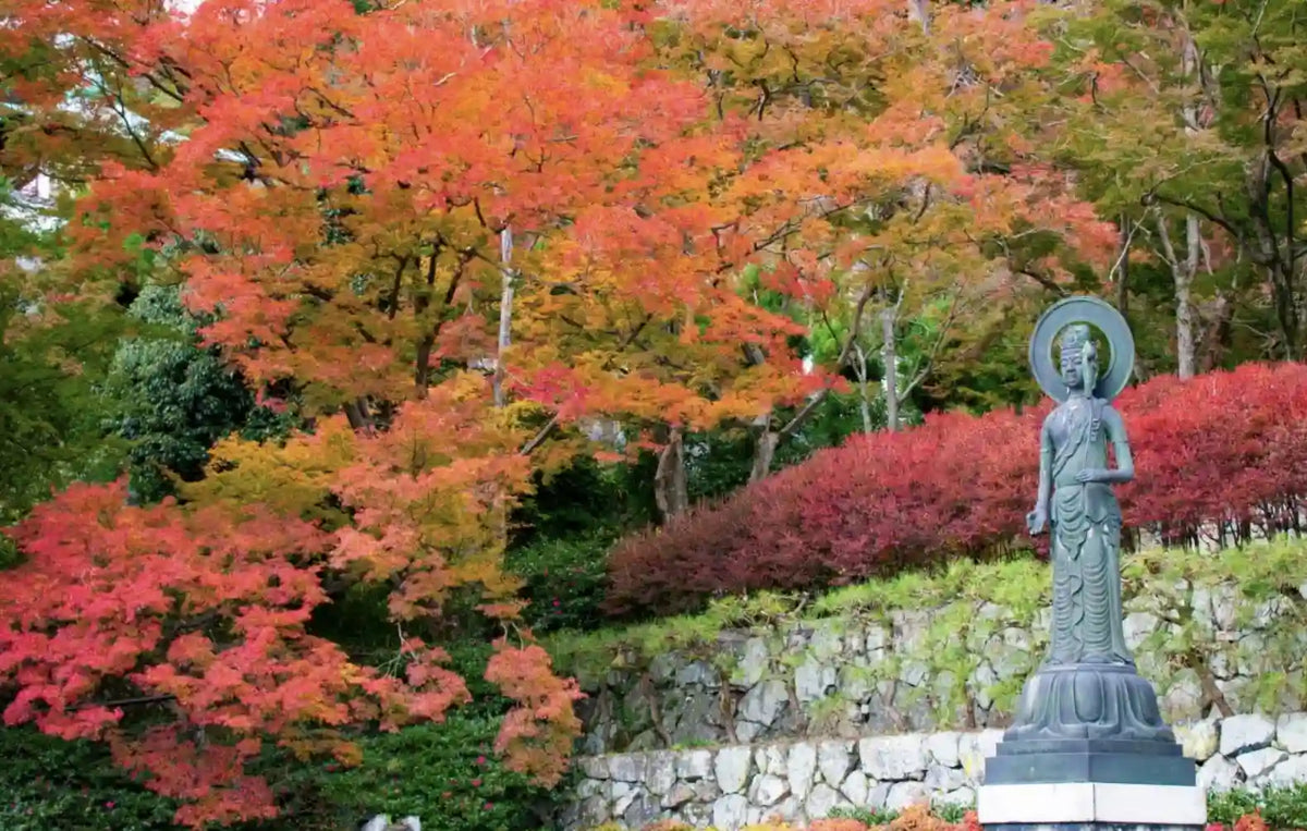 Katsuo-ji, Arashiyama & Kinkaku-ji from Kyoto/Osaka