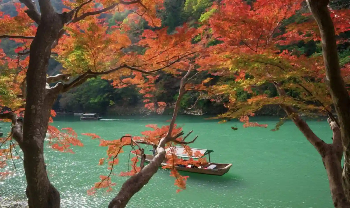 Katsuo-ji, Arashiyama & Kinkaku-ji from Kyoto/Osaka