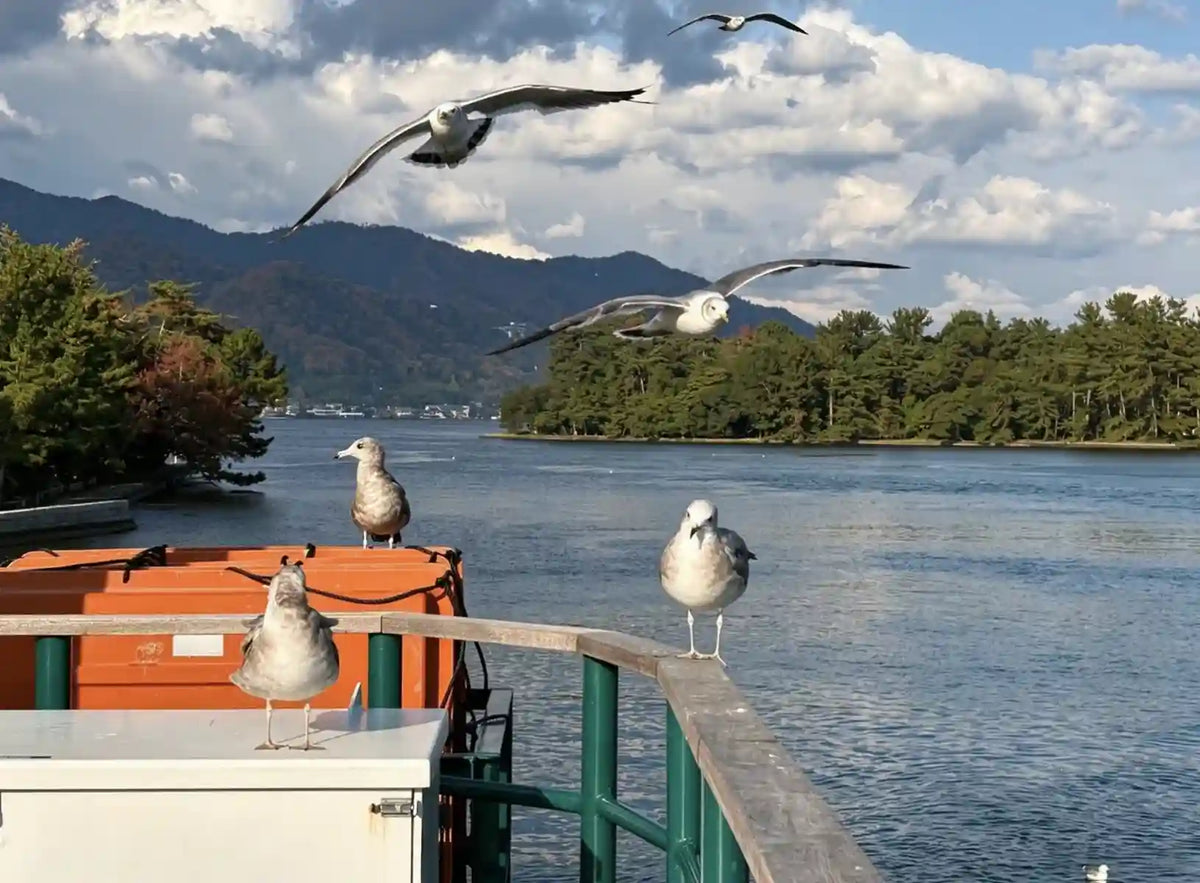 Amanohashidate, Ine Funaya & Miyama from Kyoto/Osaka