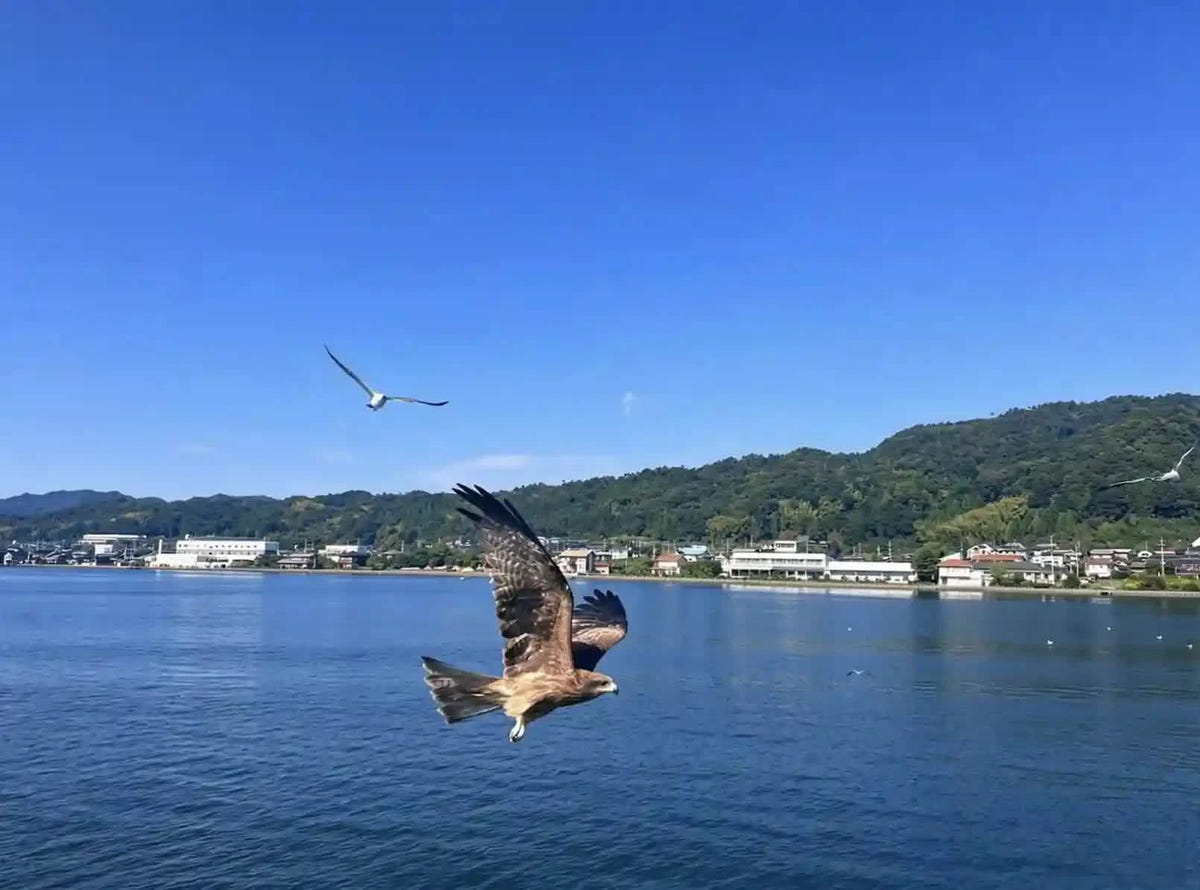 Private Amanohashidate, Ine Funaya & Miyama Tour from Kyoto/Osaka