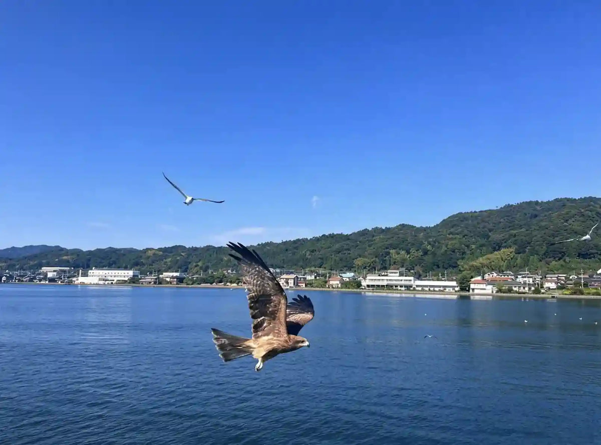 Amanohashidate, Ine Funaya & Miyama from Kyoto/Osaka