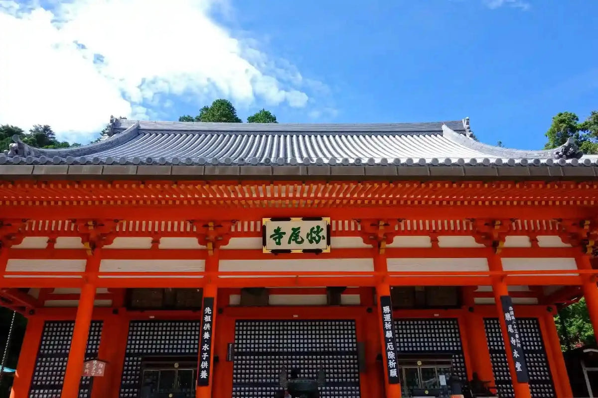 Private Katsuo-ji, Arashiyama & Kinkaku-ji from Kyoto/Osaka