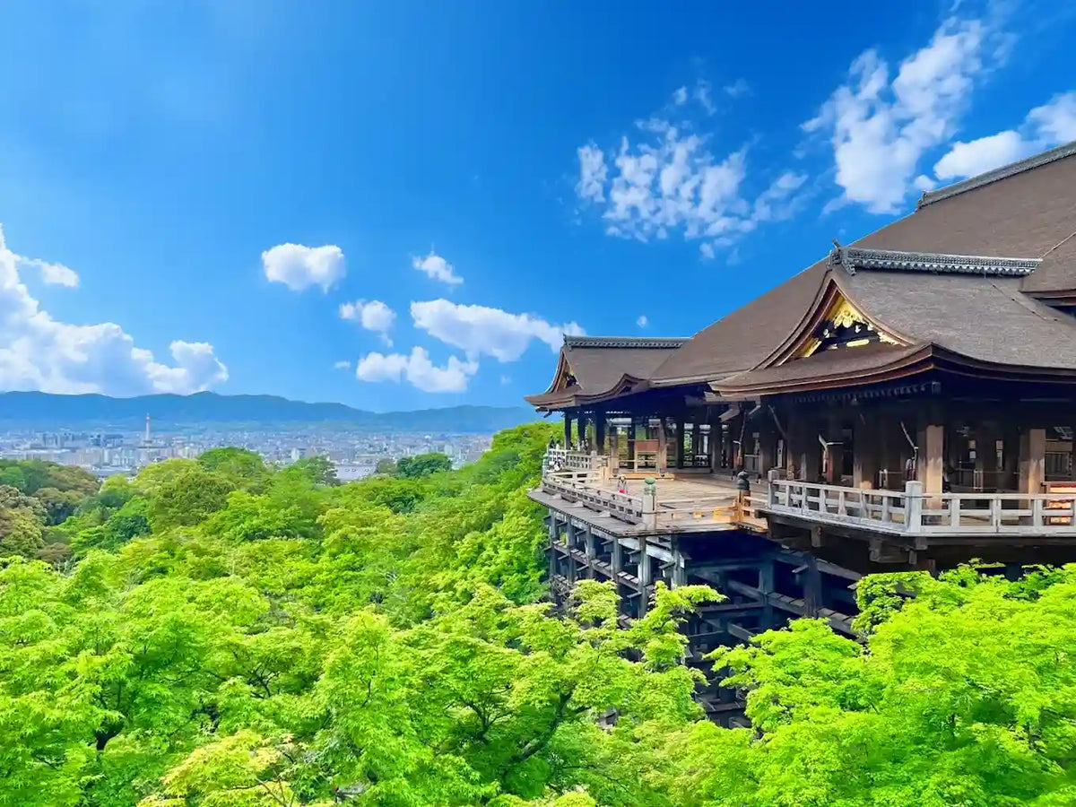 Kinkaku-ji, Kiyomizu-dera, and Byōdō-in from Kyoto/Osaka
