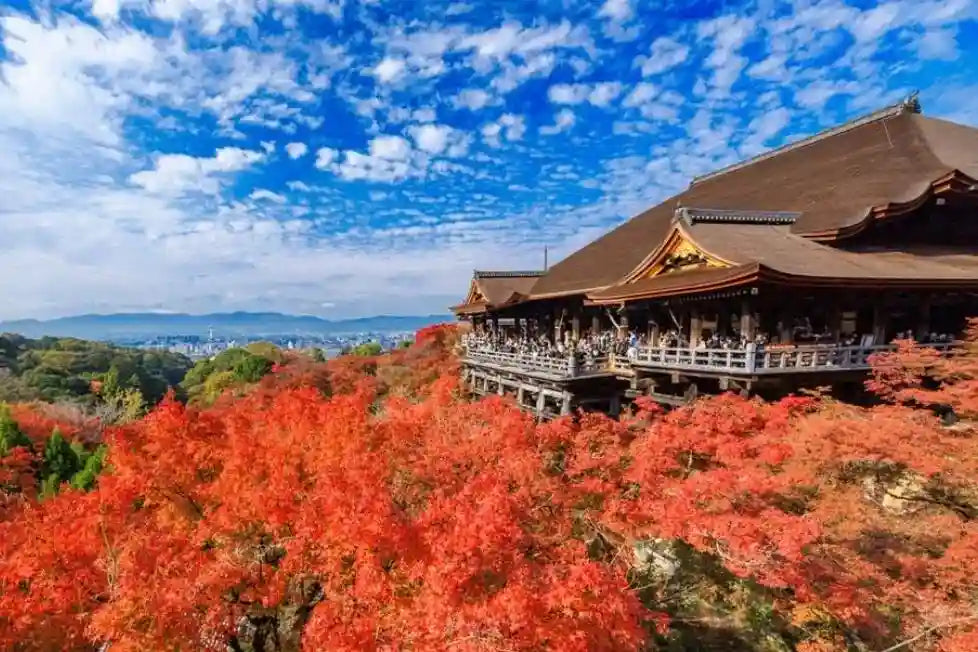 Kiyomizu-dera area( 2.5 hours)