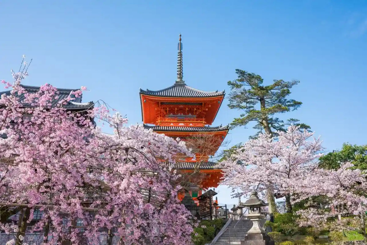 Kinkaku-ji, Kiyomizu-dera, and Byōdō-in from Kyoto/Osaka