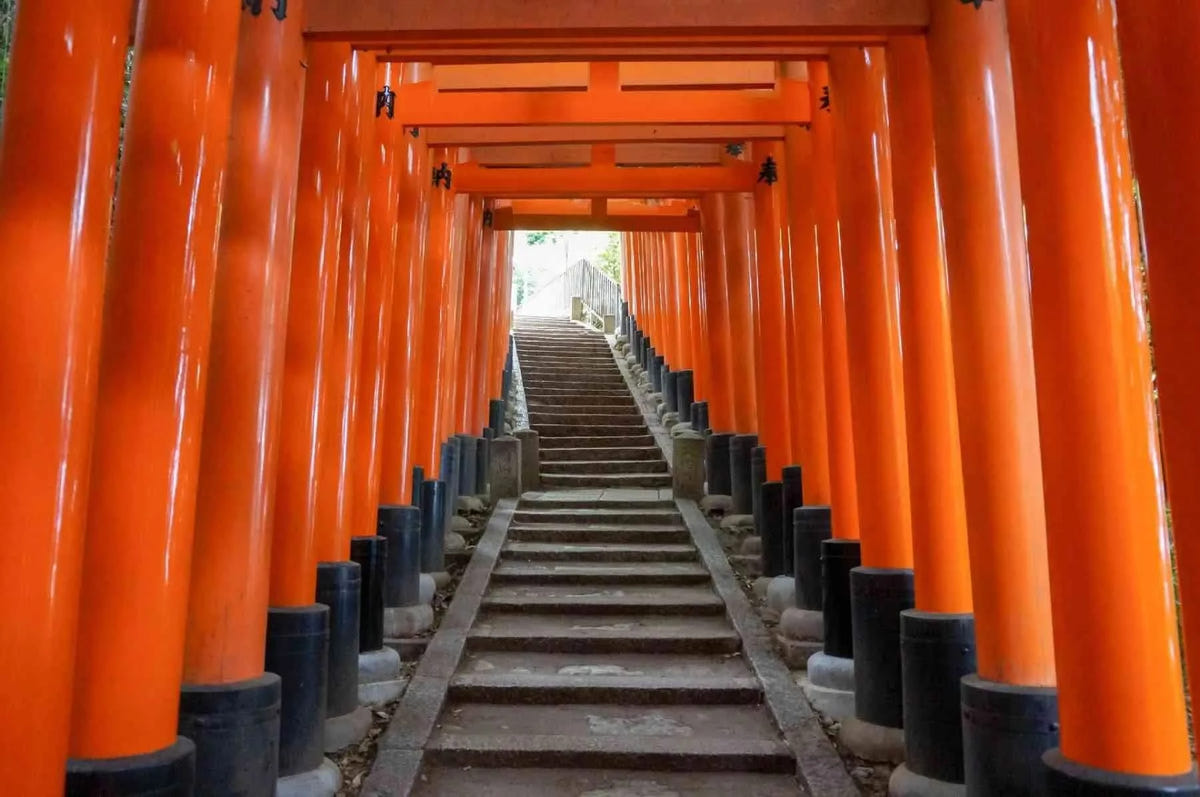 Private Arashiyama Sagano Train, Nara Park, Fushimi Inari Tour from Osaka