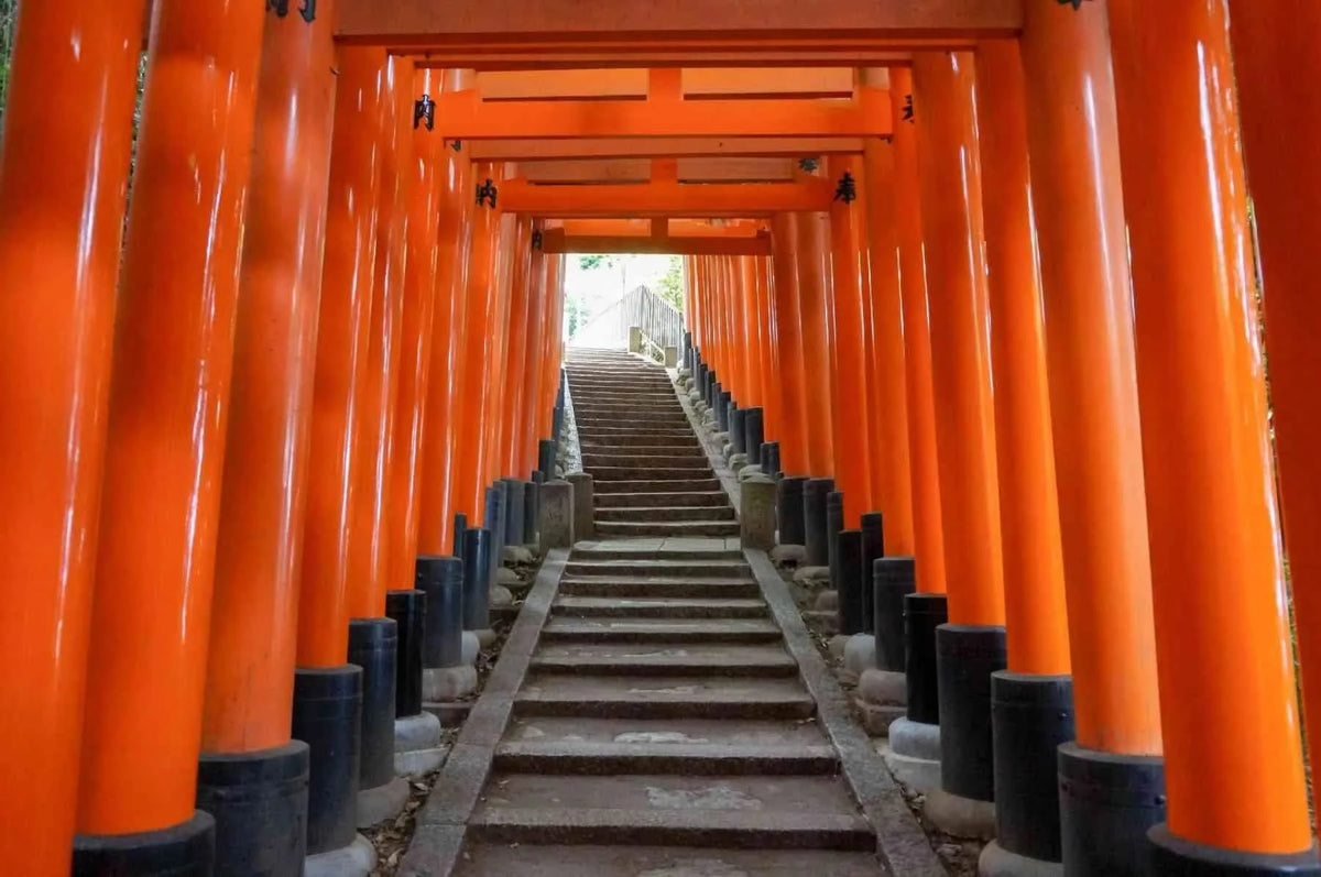 Arashiyama Sagano Train, Nara Park, Fushimi Inari Taisha Tour from  Osaka