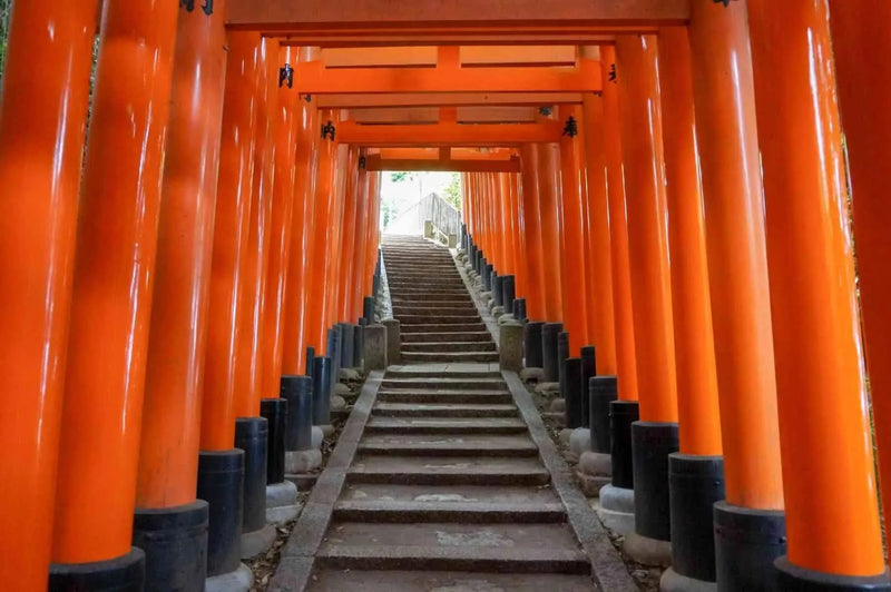 Fushimi Inari Taisha, Arashiyama, Nara from Osaka Hotel Pickup