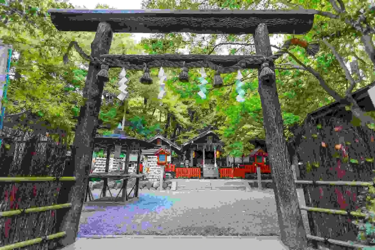 Private Arashiyama Sagano Train, Nara Park, Fushimi Inari Tour from Osaka