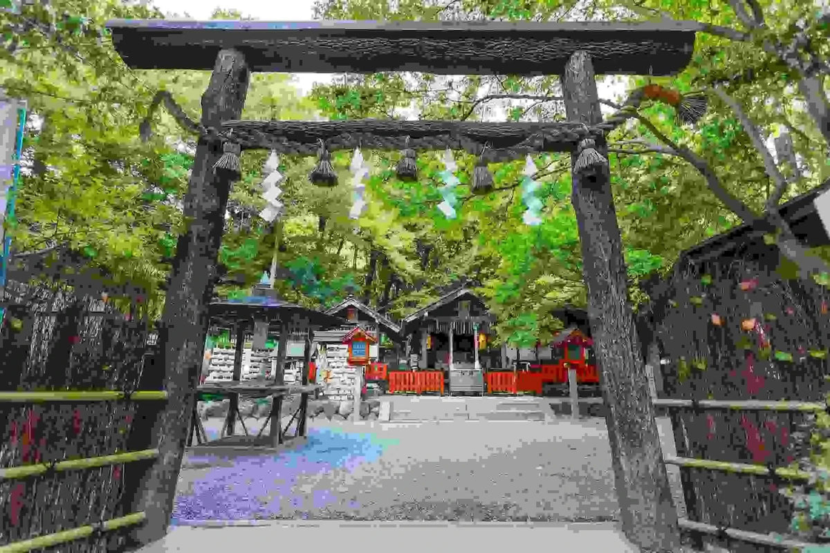 Arashiyama Sagano Train, Nara Park, Fushimi Inari Taisha Tour from  Osaka