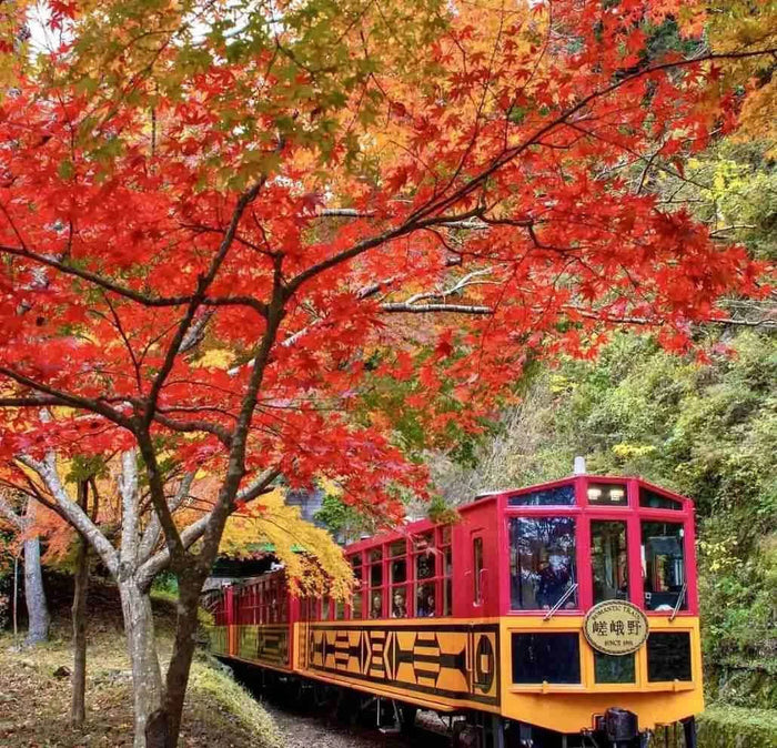 Private Arashiyama Sagano Train, Nara Park, Fushimi Inari Tour from Osaka