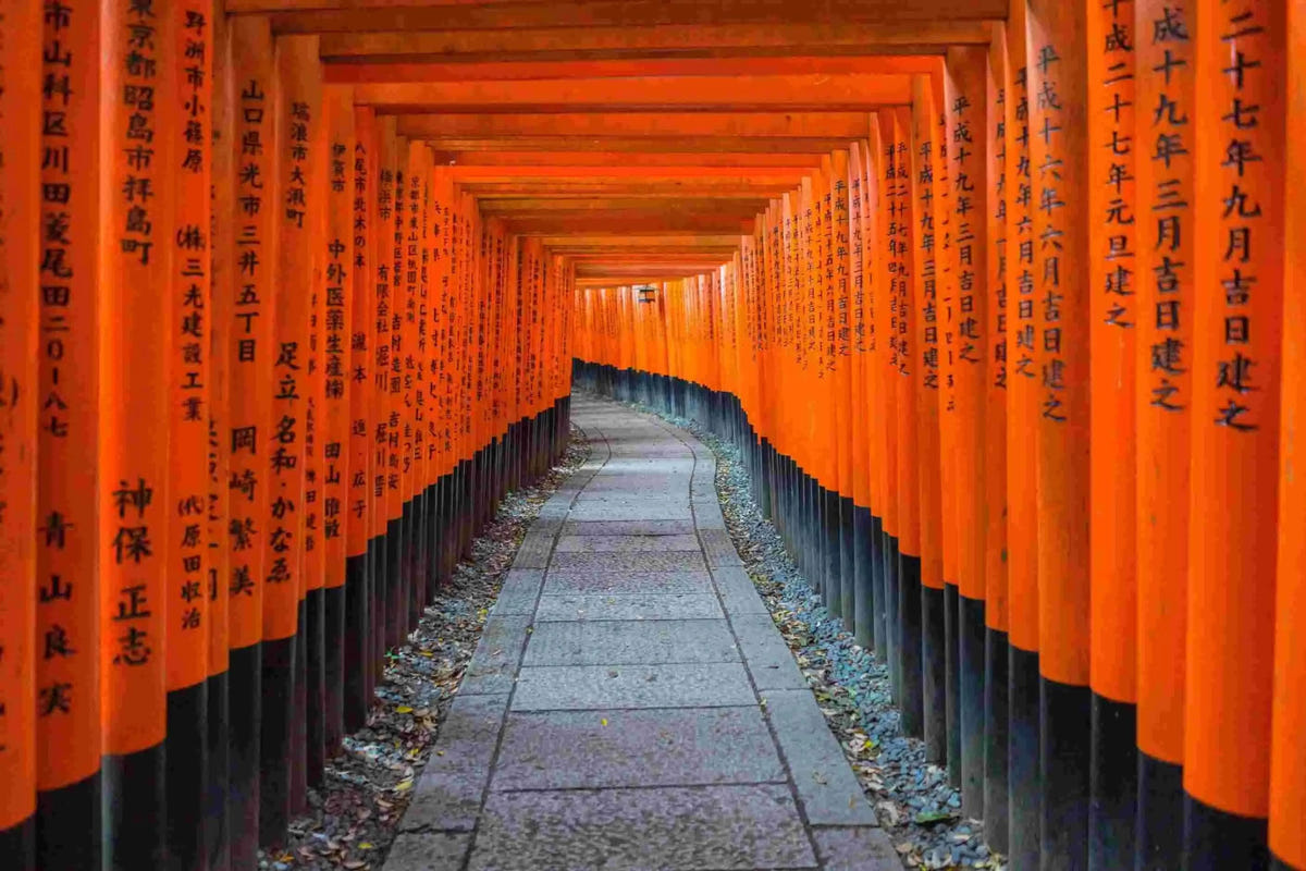 Private Arashiyama Sagano Train, Nara Park, Fushimi Inari Tour from Osaka