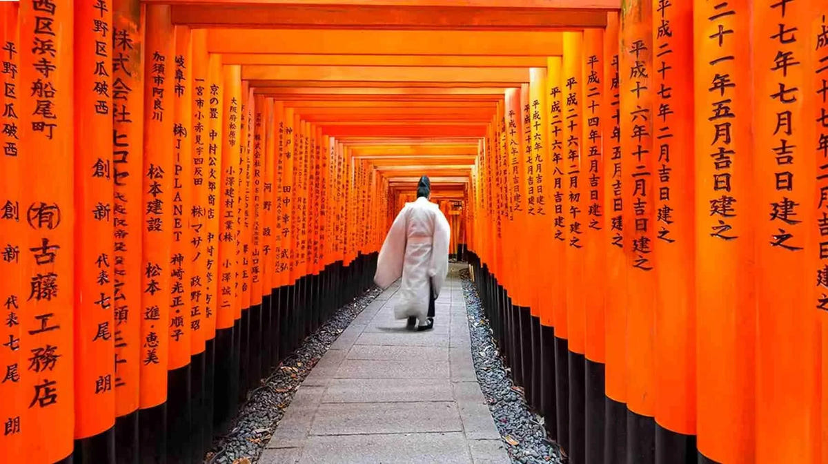 Private Arashiyama Sagano Train, Nara Park, Fushimi Inari Tour from Osaka