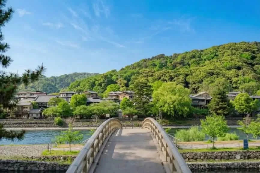 Private Nara, Uji, Todaiji & Fushimi Inari Taisha from Kyoto/Osaka