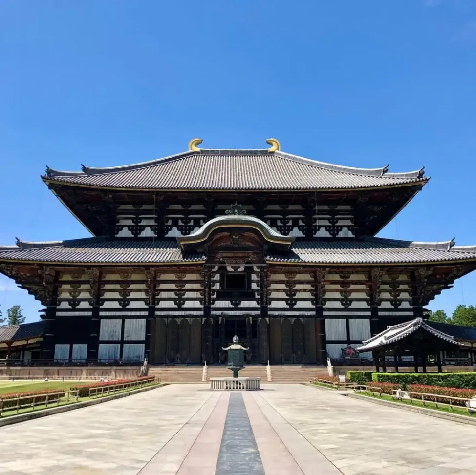 Nara, Uji, Todaiji Temple & Fushimi Inari Taisha from Kyoto/Osaka
