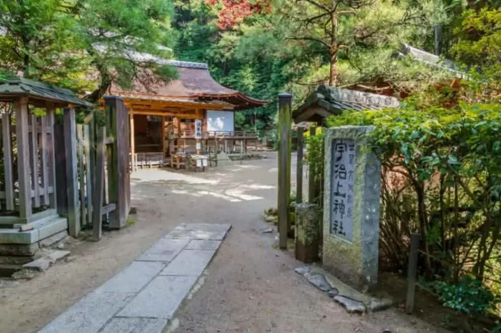 Private Nara, Uji, Todaiji & Fushimi Inari Taisha from Kyoto/Osaka