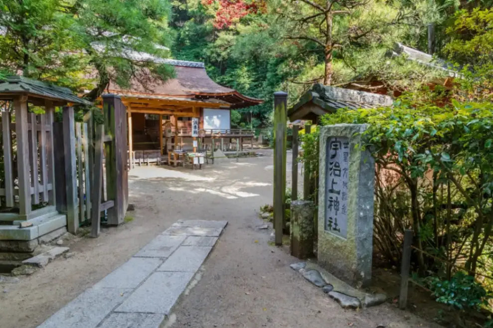 Nara, Uji, Todaiji Temple & Fushimi Inari Taisha from Kyoto/Osaka